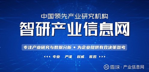 2021-2027年中国威客模式应用行业竞争格局分析及市场需求前景报告