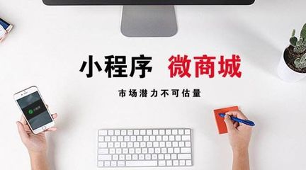 建设网站承接各类软件的开发企业站定制开发