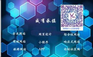 威有-企业网站案例